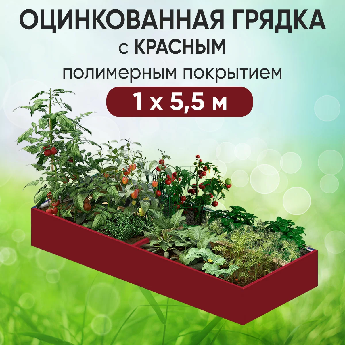 Грядка красная (1 х 5,5)